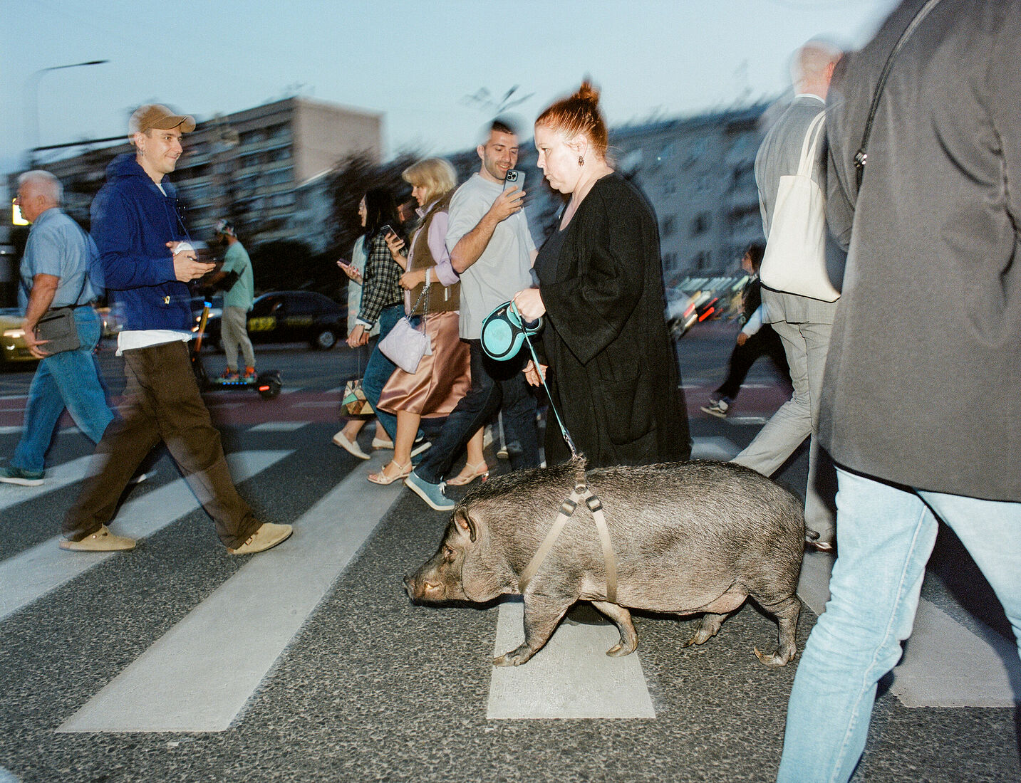 Gosha Bergal. Untitled