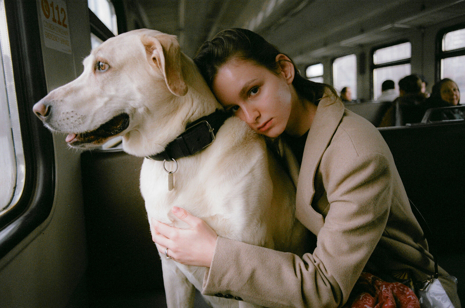 Gosha Bergal. Untitled